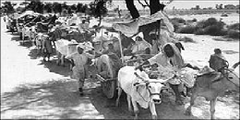 1947 India and Pakistan: Regugees fleeing religious violence