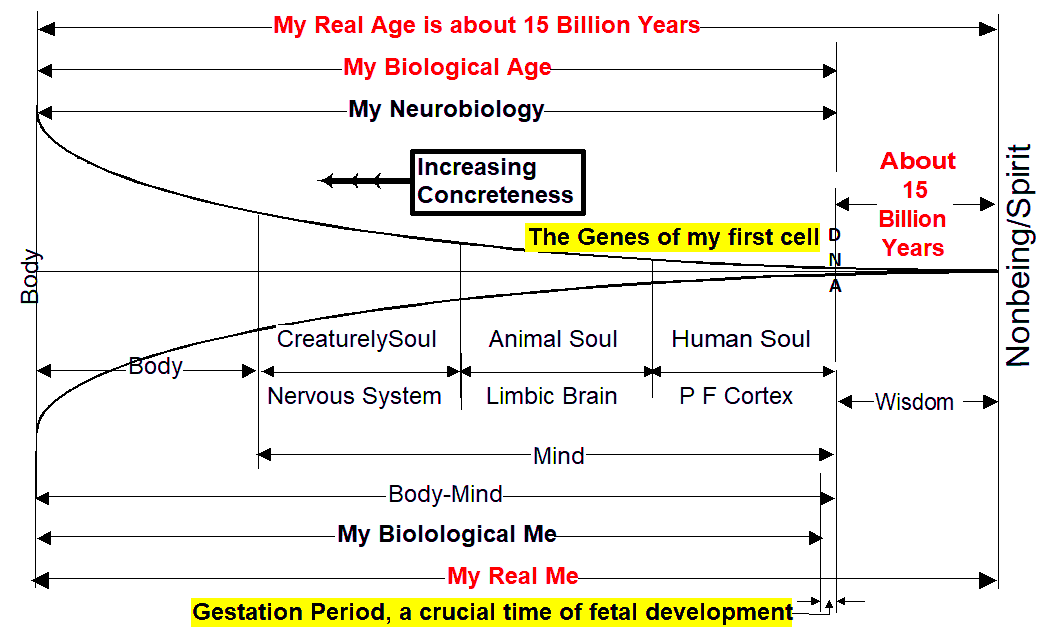 Me-Neurobiology